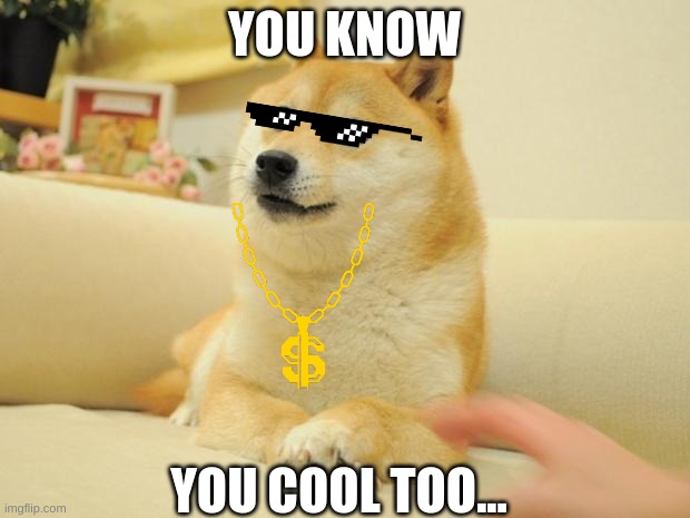 Doge 2 | YOU KNOW; YOU COOL TOO... | image tagged in memes,doge 2 | made w/ Imgflip meme maker