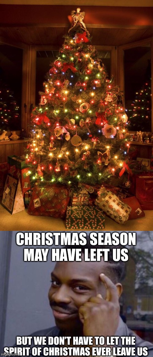 True | CHRISTMAS SEASON MAY HAVE LEFT US; BUT WE DON’T HAVE TO LET THE SPIRIT OF CHRISTMAS EVER LEAVE US | image tagged in christmas tree,black guy pointing at head,christmas,memes,inspirational | made w/ Imgflip meme maker