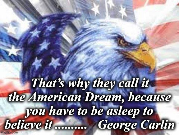 eagle | That’s why they call it the American Dream, because you have to be asleep to believe it ..........   George Carlin | image tagged in eagle | made w/ Imgflip meme maker