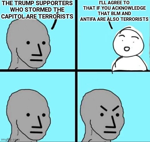 NPC Meme | THE TRUMP SUPPORTERS WHO STORMED THE CAPITOL ARE TERRORISTS; I'LL AGREE TO THAT IF YOU ACKNOWLEDGE THAT BLM AND ANTIFA ARE ALSO TERRORISTS | image tagged in npc meme | made w/ Imgflip meme maker
