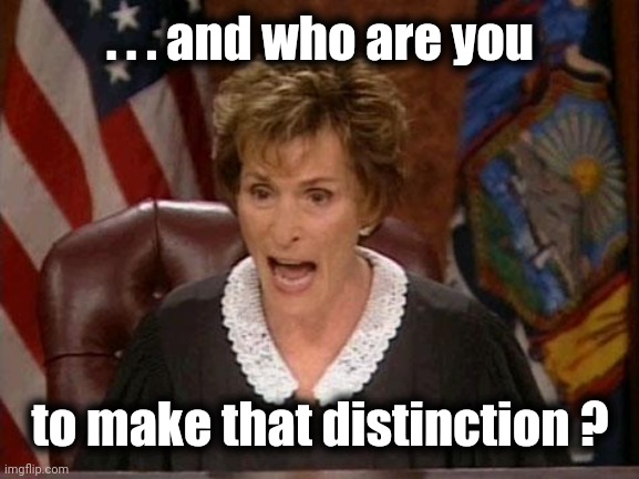 Judge Judy | . . . and who are you to make that distinction ? | image tagged in judge judy | made w/ Imgflip meme maker