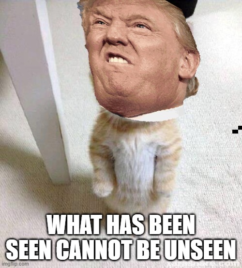 Politics to me | WHAT HAS BEEN SEEN CANNOT BE UNSEEN | image tagged in memes,trumpy cat | made w/ Imgflip meme maker