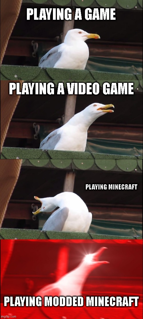 Inhaling Seagull | PLAYING A GAME; PLAYING A VIDEO GAME; PLAYING MINECRAFT; PLAYING MODDED MINECRAFT | image tagged in memes,inhaling seagull | made w/ Imgflip meme maker