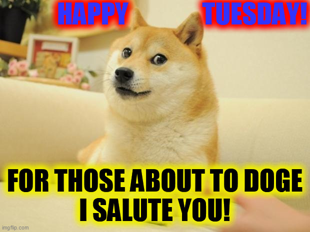 Happy. Tuesday. | HAPPY               TUESDAY! FOR THOSE ABOUT TO DOGE
I SALUTE YOU! | image tagged in doge 2,we salute you,tuesday gone,dog gone,ho ho,doge in the house | made w/ Imgflip meme maker