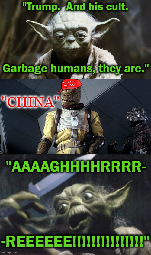 Drain the swamp huh? | "Trump.  And his cult. "CHINA"; Garbage humans, they are."; "AAAAGHHHHRRRR-; -REEEEEE!!!!!!!!!!!!!!!" | image tagged in yoda,maga | made w/ Imgflip meme maker