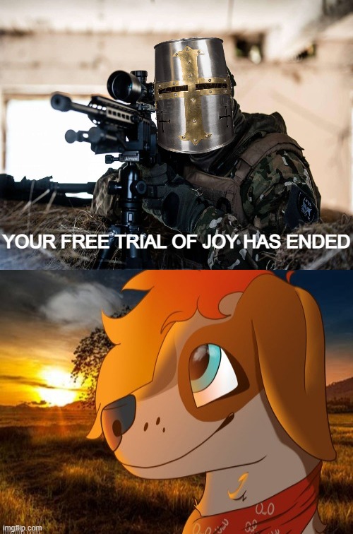 your free trial of experiencing joy has ended | YOUR FREE TRIAL OF JOY HAS ENDED | image tagged in furry,crusader,sniper | made w/ Imgflip meme maker