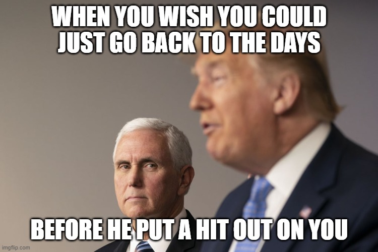 BF Breakup | WHEN YOU WISH YOU COULD JUST GO BACK TO THE DAYS; BEFORE HE PUT A HIT OUT ON YOU | image tagged in pence,trump,mike pence,boss | made w/ Imgflip meme maker