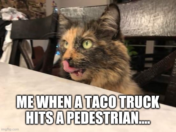 Das Kawty | ME WHEN A TACO TRUCK HITS A PEDESTRIAN.... | image tagged in funny | made w/ Imgflip meme maker