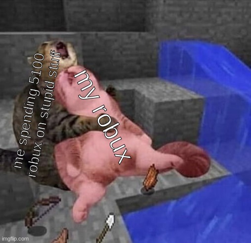 Cat cry minecraft | my robux; me spending 5100 robux on stupid stuff | image tagged in cat cry minecraft | made w/ Imgflip meme maker