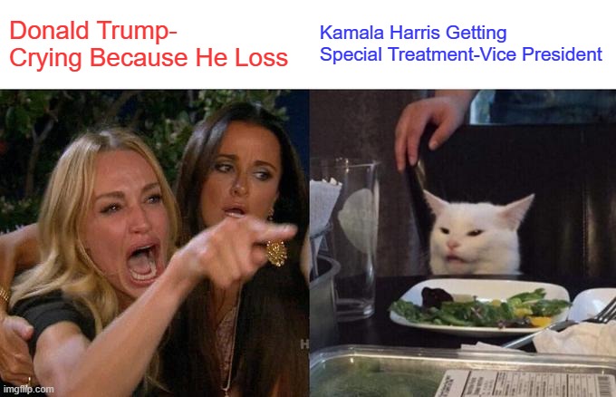 Woman Yelling At Cat | Donald Trump- Crying Because He Loss; Kamala Harris Getting Special Treatment-Vice President | image tagged in memes,woman yelling at cat | made w/ Imgflip meme maker