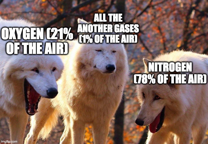 XD | ALL THE ANOTHER GASES (1% OF THE AIR); OXYGEN (21% OF THE AIR); NITROGEN (78% OF THE AIR) | image tagged in 2/3 wolves laugh | made w/ Imgflip meme maker