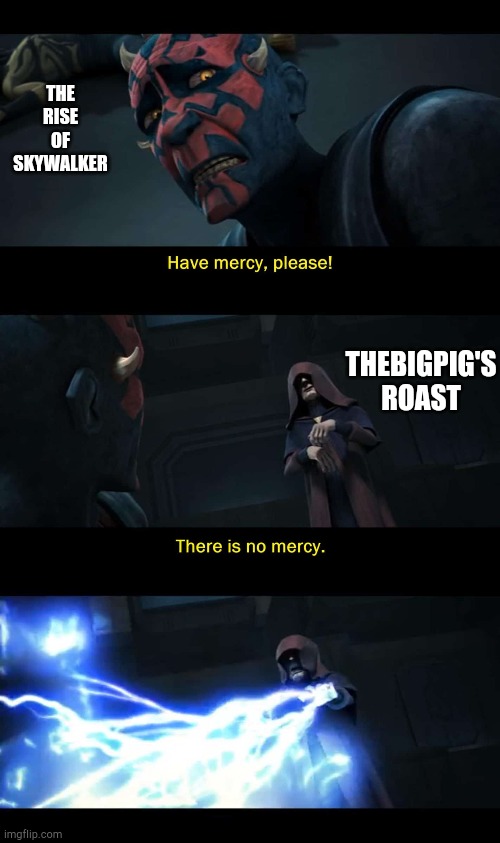 Mercy please | THE RISE OF SKYWALKER THEBIGPIG'S ROAST | image tagged in mercy please | made w/ Imgflip meme maker