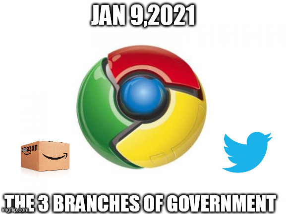 Google Chrome Meme |  JAN 9,2021; THE 3 BRANCHES OF GOVERNMENT | image tagged in memes,google chrome | made w/ Imgflip meme maker