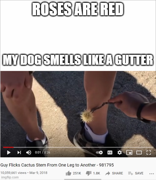 That has got to be painful | ROSES ARE RED; MY DOG SMELLS LIKE A GUTTER | image tagged in poem,dog,smells | made w/ Imgflip meme maker