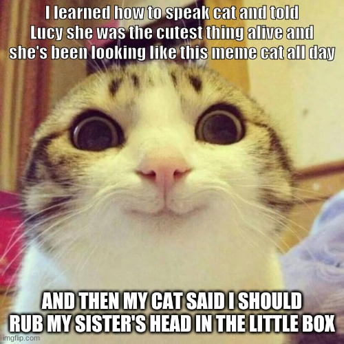 Smiling Cat | I learned how to speak cat and told Lucy she was the cutest thing alive and she's been looking like this meme cat all day; AND THEN MY CAT SAID I SHOULD RUB MY SISTER'S HEAD IN THE LITTLE BOX | image tagged in memes,smiling cat | made w/ Imgflip meme maker