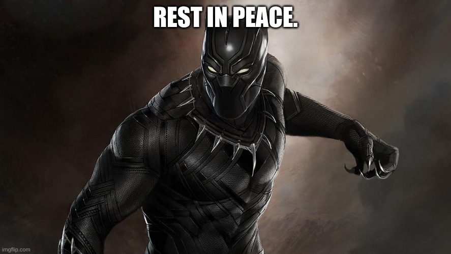 Black Panther | REST IN PEACE. | image tagged in black panther | made w/ Imgflip meme maker