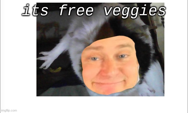 its free veggies | its free veggies | image tagged in guinea pig,its free real estate,its free veggies,crossover,intimidating nugget | made w/ Imgflip meme maker