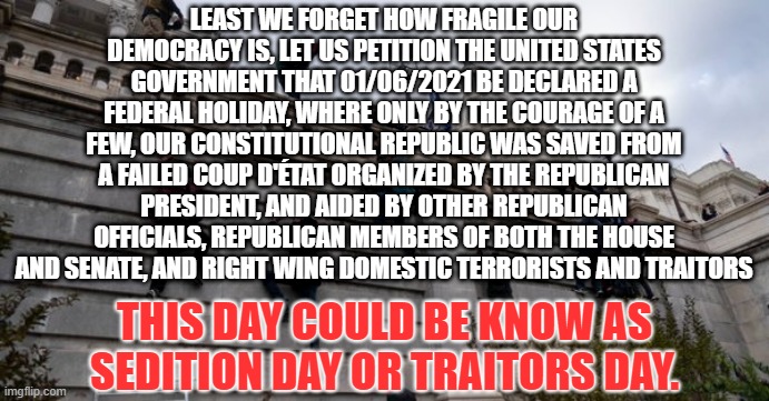 capitol riot | LEAST WE FORGET HOW FRAGILE OUR DEMOCRACY IS, LET US PETITION THE UNITED STATES GOVERNMENT THAT 01/06/2021 BE DECLARED A FEDERAL HOLIDAY, WHERE ONLY BY THE COURAGE OF A FEW, OUR CONSTITUTIONAL REPUBLIC WAS SAVED FROM A FAILED COUP D'ÉTAT ORGANIZED BY THE REPUBLICAN PRESIDENT, AND AIDED BY OTHER REPUBLICAN OFFICIALS, REPUBLICAN MEMBERS OF BOTH THE HOUSE AND SENATE, AND RIGHT WING DOMESTIC TERRORISTS AND TRAITORS; THIS DAY COULD BE KNOW AS SEDITION DAY OR TRAITORS DAY. | image tagged in capitol riot | made w/ Imgflip meme maker