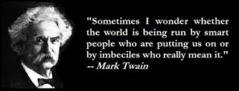 things are not as it seems | image tagged in mark twain,politics | made w/ Imgflip meme maker