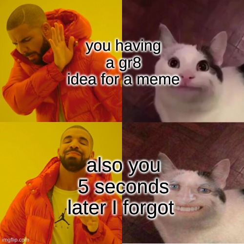 you having a gr8 idea for a meme; also you 5 seconds later I forgot | image tagged in funny | made w/ Imgflip meme maker