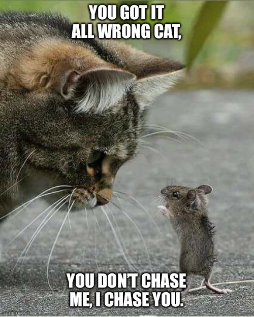 Cat and mouse | YOU GOT IT ALL WRONG CAT, YOU DON’T CHASE ME, I CHASE YOU. | image tagged in cat and mouse | made w/ Imgflip meme maker
