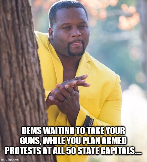 Dems creepin | DEMS WAITING TO TAKE YOUR GUNS, WHILE YOU PLAN ARMED PROTESTS AT ALL 50 STATE CAPITALS.... | image tagged in memes | made w/ Imgflip meme maker