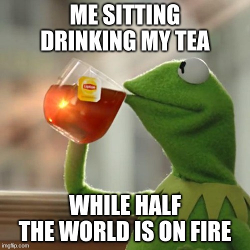 hermit drinking tea | image tagged in hermit drinking tea | made w/ Imgflip meme maker