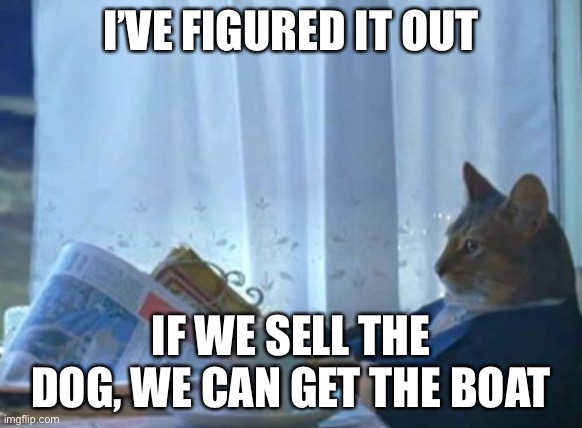 Solution | I’VE FIGURED IT OUT; IF WE SELL THE DOG, WE CAN GET THE BOAT | image tagged in memes,i should buy a boat cat,funny,cats,dogs,animals | made w/ Imgflip meme maker
