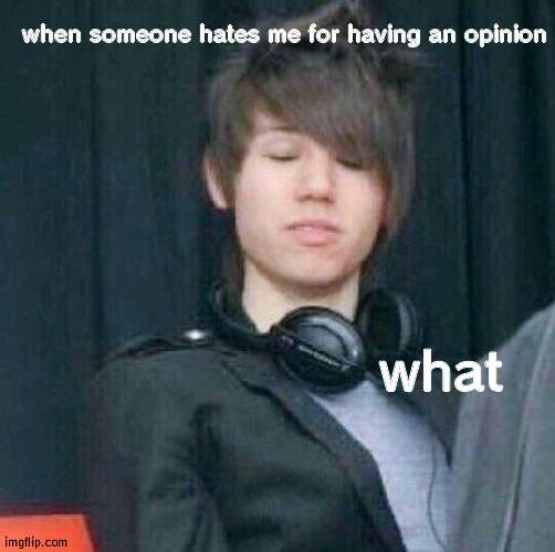 Ryan Ross | when someone hates me for having an opinion; what | image tagged in ryan ross | made w/ Imgflip meme maker