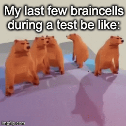 first gif on coolmeme i think! - Imgflip