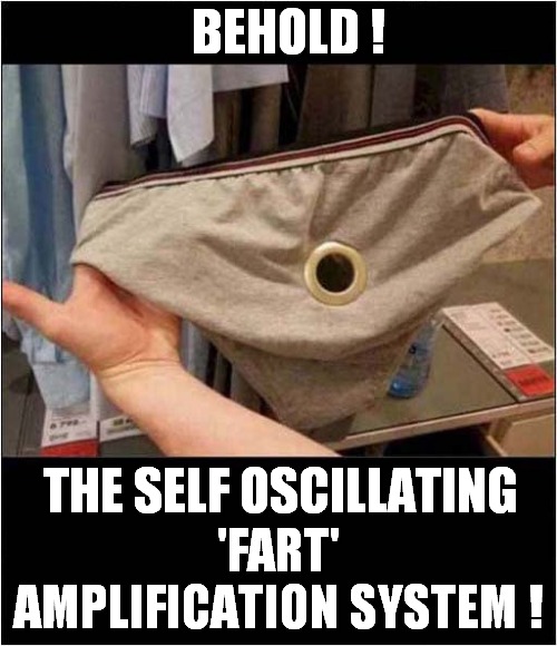 Impress Your Friends And Colleagues ! | BEHOLD ! 'FART' AMPLIFICATION SYSTEM ! THE SELF OSCILLATING | image tagged in underpants,farts | made w/ Imgflip meme maker