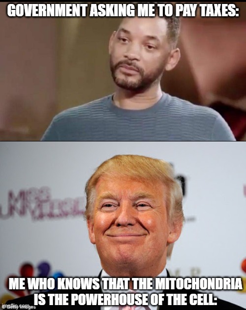 GOVERNMENT ASKING ME TO PAY TAXES:; ME WHO KNOWS THAT THE MITOCHONDRIA IS THE POWERHOUSE OF THE CELL: | image tagged in sad will smith,donald trump approves | made w/ Imgflip meme maker