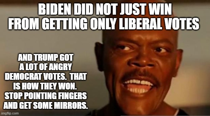 Snakes on the Plane Samuel L Jackson | BIDEN DID NOT JUST WIN FROM GETTING ONLY LIBERAL VOTES; AND TRUMP GOT A LOT OF ANGRY DEMOCRAT VOTES.  THAT IS HOW THEY WON.  STOP POINTING FINGERS AND GET SOME MIRRORS. | image tagged in snakes on the plane samuel l jackson | made w/ Imgflip meme maker
