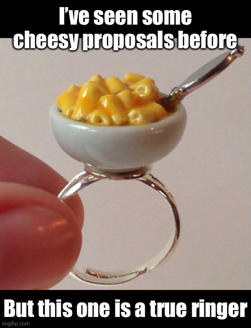 You’re Proposal is No Gouda | I’ve seen some cheesy proposals before; But this one is a true ringer | image tagged in funny memes,cheesy,proposal | made w/ Imgflip meme maker