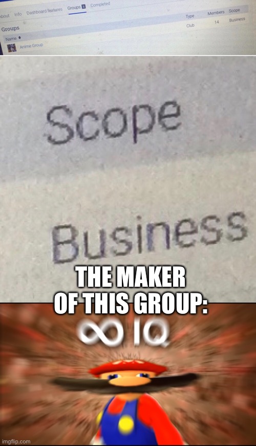Anime group-scope:bUiSneSS | THE MAKER OF THIS GROUP: | image tagged in infinity iq mario,anime,school,meme,funny,funny memes | made w/ Imgflip meme maker