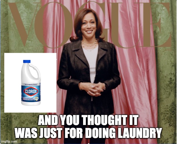 Kamela Harris | AND YOU THOUGHT IT WAS JUST FOR DOING LAUNDRY | image tagged in vogue | made w/ Imgflip meme maker