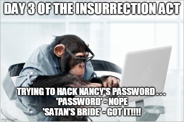 Nancy's Laptop | DAY 3 OF THE INSURRECTION ACT; TRYING TO HACK NANCY'S PASSWORD . . . 
'PASSWORD' - NOPE
'SATAN'S BRIDE' - GOT IT!!!! | image tagged in monkey-laptop | made w/ Imgflip meme maker