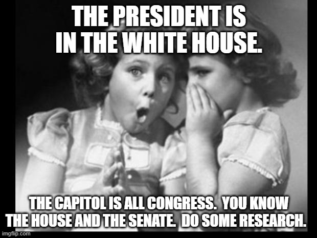 Friends sharing | THE PRESIDENT IS IN THE WHITE HOUSE. THE CAPITOL IS ALL CONGRESS.  YOU KNOW THE HOUSE AND THE SENATE.  DO SOME RESEARCH. | image tagged in friends sharing | made w/ Imgflip meme maker