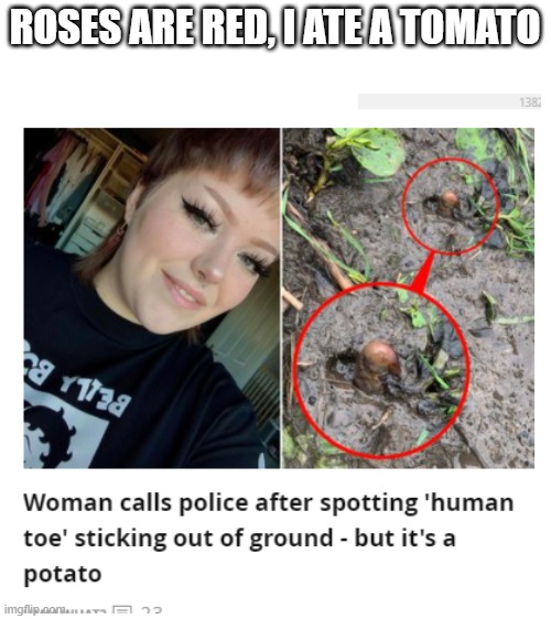 Pota-toes | ROSES ARE RED, I ATE A TOMATO | image tagged in blank white template,meme,memes,funny,roses are red | made w/ Imgflip meme maker