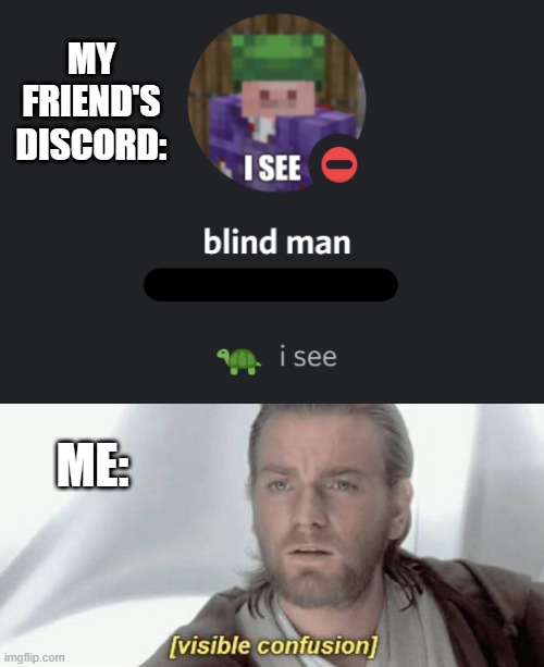 hehe "visible" confusion. get it? | MY FRIEND'S DISCORD:; ME: | image tagged in visible confusion,discord | made w/ Imgflip meme maker