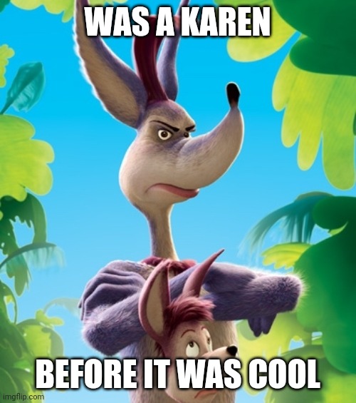 WAS A KAREN; BEFORE IT WAS COOL | made w/ Imgflip meme maker