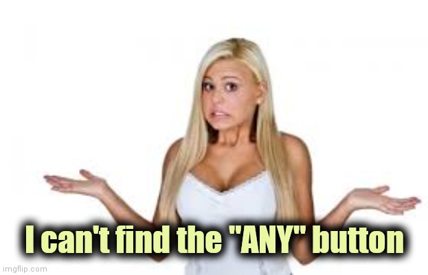 Dumb Blonde | I can't find the "ANY" button | image tagged in dumb blonde | made w/ Imgflip meme maker