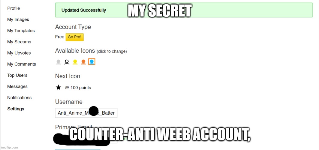 Tell me when to raid the AAA or anti anime stream with this >:3 | MY SECRET; COUNTER-ANTI WEEB ACCOUNT, | made w/ Imgflip meme maker