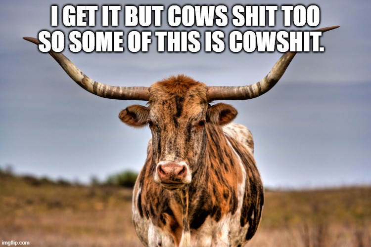 Cows do it too. | I GET IT BUT COWS SHIT TOO SO SOME OF THIS IS COWSHIT. | image tagged in cow,bullshit | made w/ Imgflip meme maker
