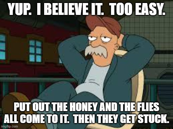 yep futurama | YUP.  I BELIEVE IT.  TOO EASY. PUT OUT THE HONEY AND THE FLIES ALL COME TO IT.  THEN THEY GET STUCK. | image tagged in yep futurama | made w/ Imgflip meme maker