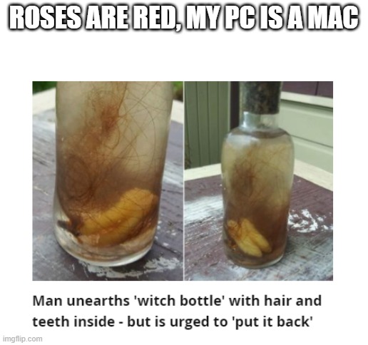 But why? Why would you do that? | ROSES ARE RED, MY PC IS A MAC | image tagged in blank white template,roses are red,memes,meme,funny | made w/ Imgflip meme maker