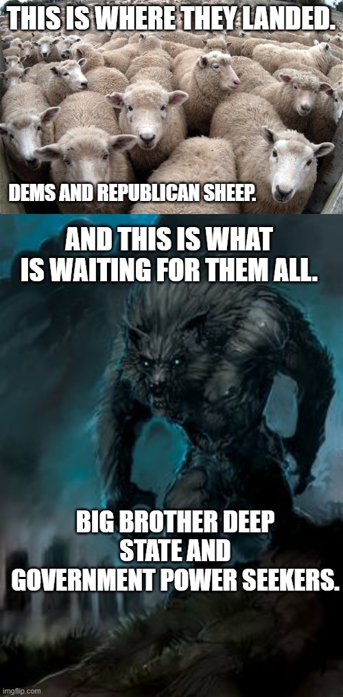 THIS IS WHERE THEY LANDED. DEMS AND REPUBLICAN SHEEP. AND THIS IS WHAT IS WAITING FOR THEM ALL. BIG BROTHER DEEP STATE AND GOVERNMENT POWER  | image tagged in sheeple,werewolf | made w/ Imgflip meme maker