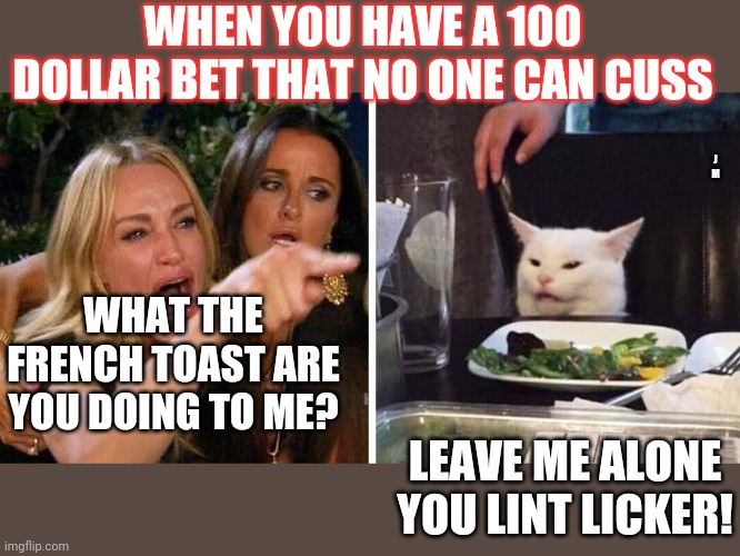 Smudge the cat | WHEN YOU HAVE A 100 DOLLAR BET THAT NO ONE CAN CUSS; J M; WHAT THE FRENCH TOAST ARE YOU DOING TO ME? LEAVE ME ALONE YOU LINT LICKER! | image tagged in smudge the cat | made w/ Imgflip meme maker