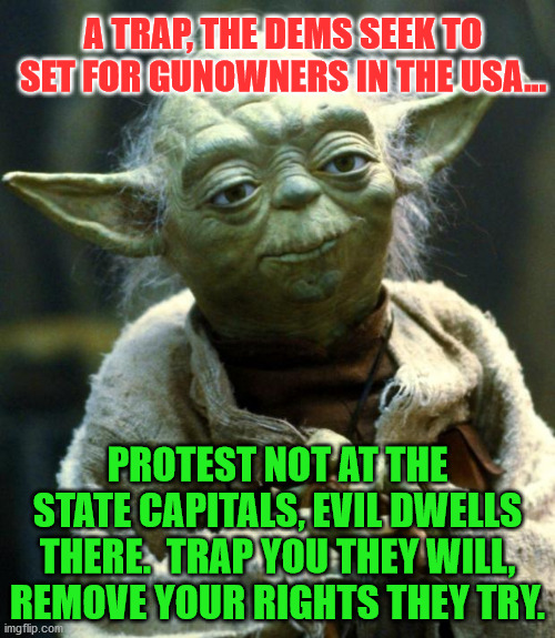 Star Wars Yoda Meme | A TRAP, THE DEMS SEEK TO SET FOR GUNOWNERS IN THE USA... PROTEST NOT AT THE STATE CAPITALS, EVIL DWELLS THERE.  TRAP YOU THEY WILL, REMOVE YOUR RIGHTS THEY TRY. | image tagged in memes,star wars yoda | made w/ Imgflip meme maker