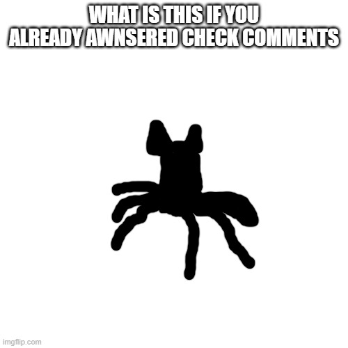 Blank Transparent Square Meme | WHAT IS THIS IF YOU ALREADY AWNSERED CHECK COMMENTS | image tagged in memes,blank transparent square | made w/ Imgflip meme maker